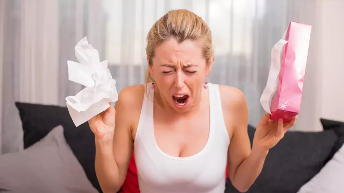 Hay Fever Nightmare – What If Your Sofa Is Making You Sneeze?